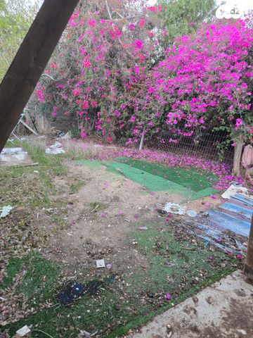 בית פרטי/ קוטג', רינתיה