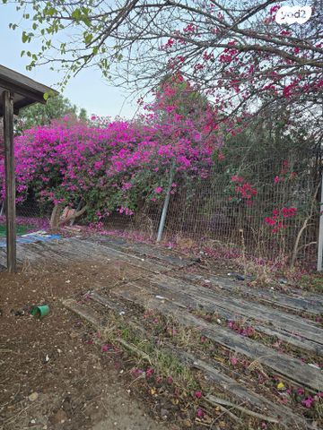 בית פרטי/ קוטג', רינתיה