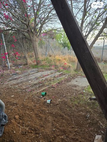 בית פרטי/ קוטג', רינתיה