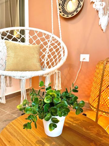 בית מלון, חיפה