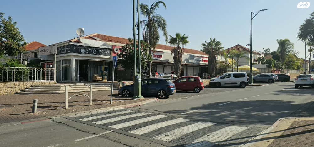 נווה דקלים 44