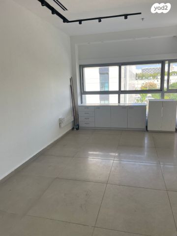 משרדים, ברודצקי, רמת אביב, תל אביב יפו