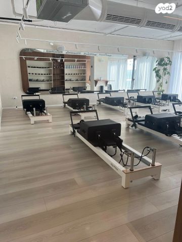 משרדים, שושנה דמארי, משכנות האומנים, קרית מוצקין