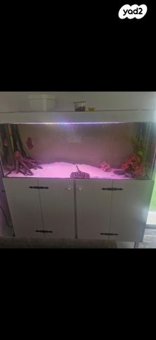 תמונת מודעה - חיות מחמד