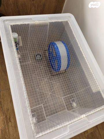 תמונת מודעה - חיות מחמד