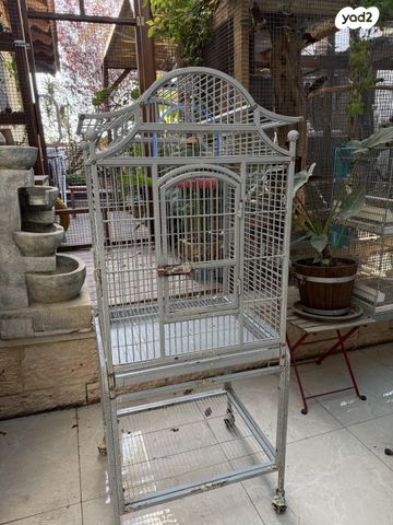 תמונת מודעה - חיות מחמד