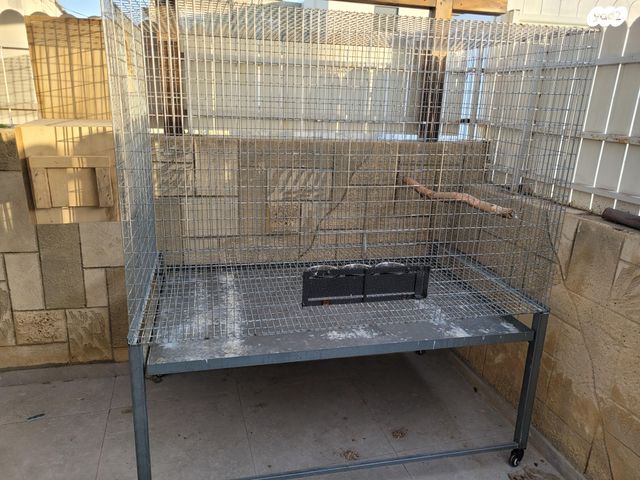 תמונת מודעה - חיות מחמד