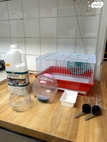 תמונת מודעה - חיות מחמד