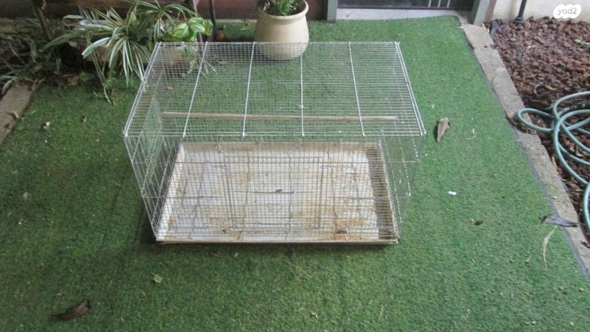 תמונת מודעה - חיות מחמד