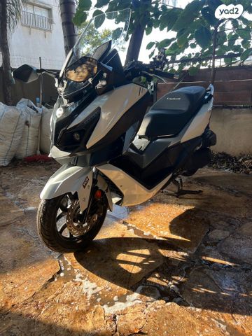 סאן יאנג קרוזים 300