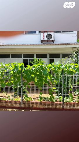 דירת גן, זאב ז'בוטינסקי 30, אגרובנק, חולון