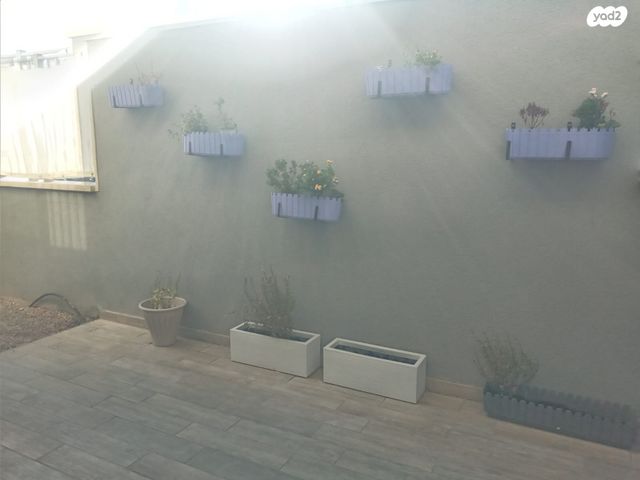 דירת גן, אורן 8, החורש, חריש