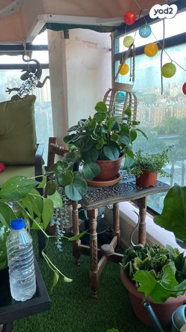 דירה, הנרי קנדל 5, העיר העתיקה, רמב"ם, דרום, באר שבע