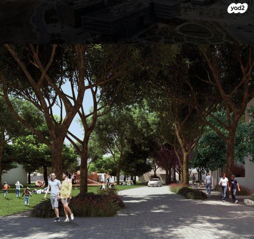 מגרשים, מוטה גור 1, רקפות, באר שבע