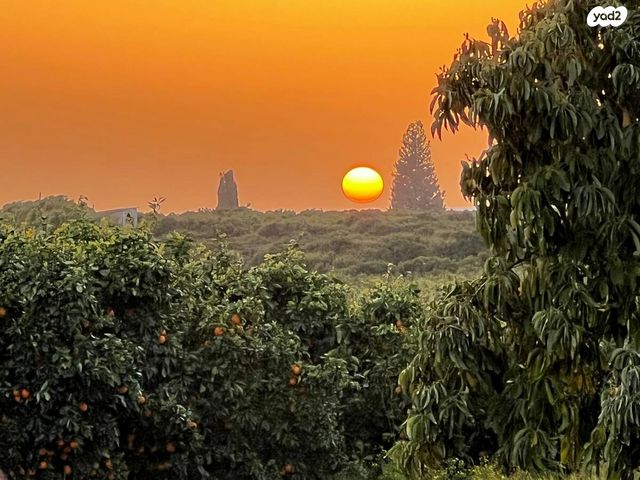יחידת דיור, דרך הלולים 128, רמות מאיר, רמות מאיר
