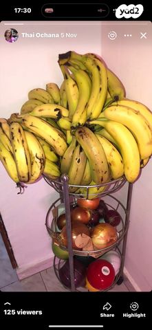 דירה, אדמונד פלג 52, רמת שאול, חיפה