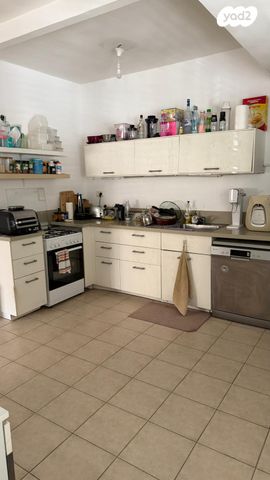 החשמונאים 12