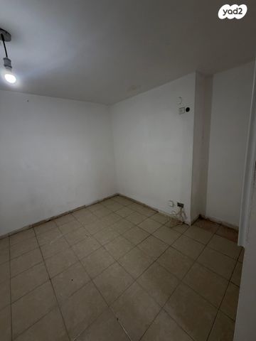 שבטי ישראל 17