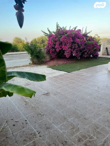 יחידת דיור, אלה 168, לוזית, לוזית