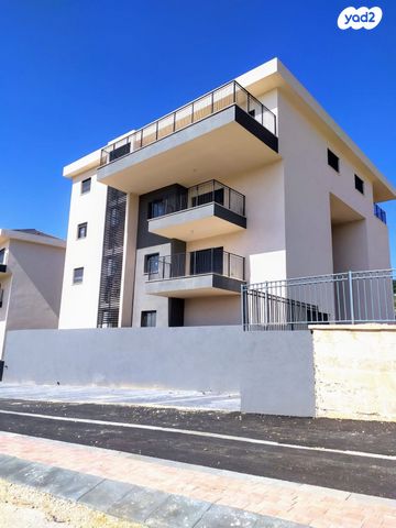 עץ המשאלות 19