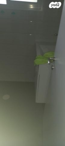 דירה, אריאל 10, התקוה, בית יעקב, נווה צה"ל, תל אביב יפו