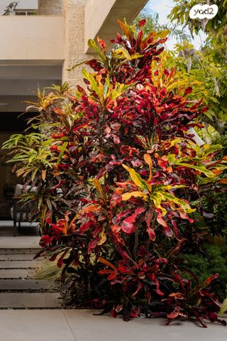 דירת גן, אלכסנדר פן 27, תל ברוך צפון, תל אביב יפו