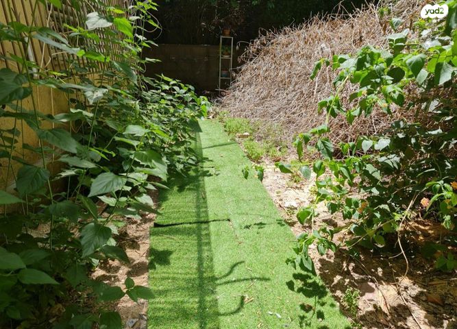 דירת גן, גורדון, הצפון הישן - דרום, תל אביב יפו