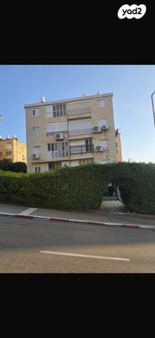 דוד בר רב האי 