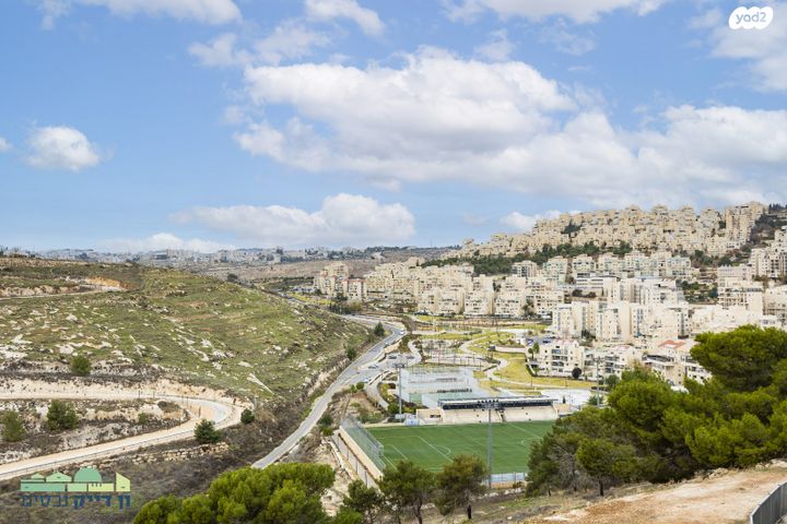 דירה, עמנואל זיסמן, חומת שמואל, הר חומה, ירושלים