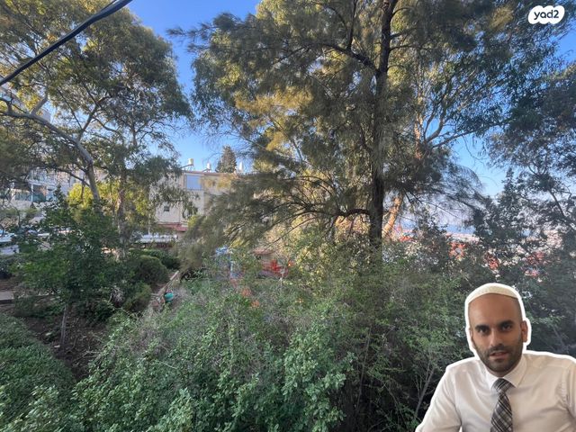 דירה, מצפה, נווה שאנן, חיפה