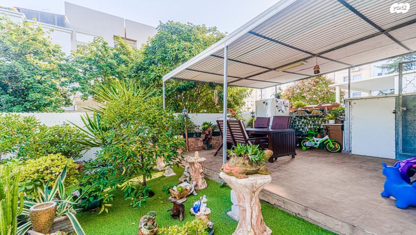 דירת גן, כוכב הצפון, אשקלון