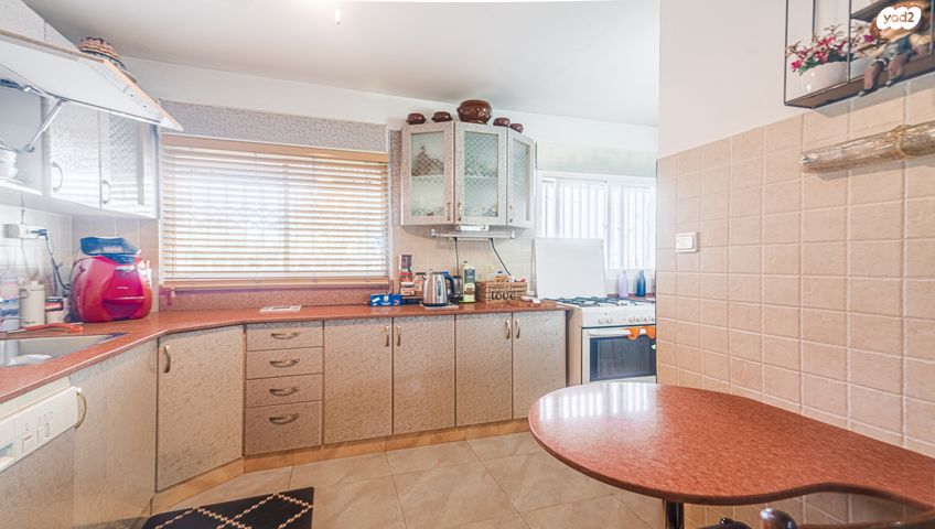 דירת גן, כוכב הצפון, אשקלון