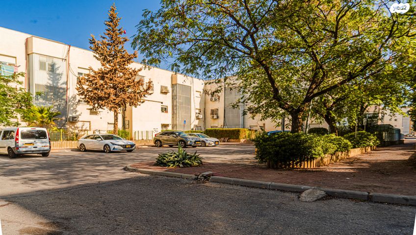 דירת גן, כוכב הצפון, אשקלון