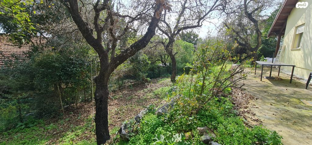 בית פרטי/ קוטג', החורש, אלון הגליל