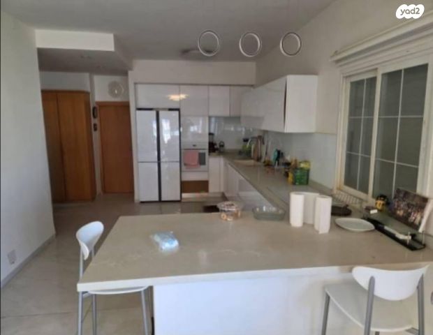 הרופא זלוצ'יסטי 