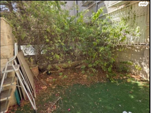 דירה, הרופא זלוצ'יסטי, אחוזה, חיפה