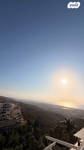 הרופא זלוצ'יסטי 