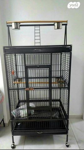 תמונת מודעה - חיות מחמד