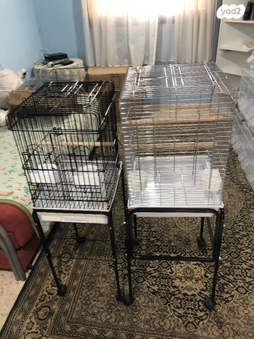 תמונת מודעה - חיות מחמד