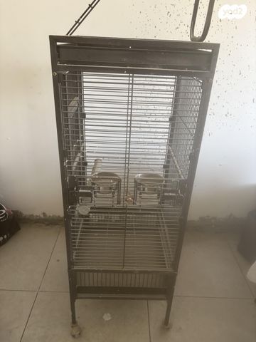 תמונת מודעה - חיות מחמד