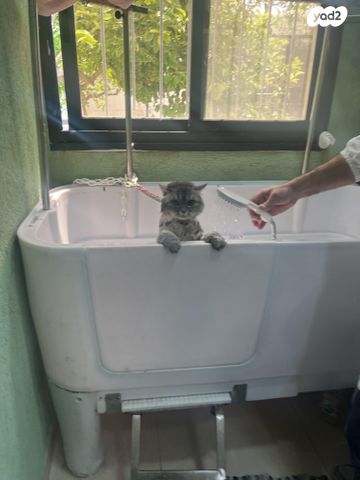 תמונת מודעה - חיות מחמד