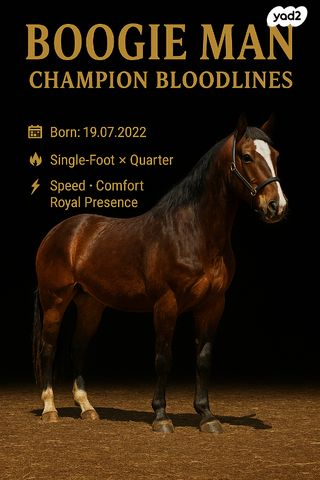 סוס סינגל פוט