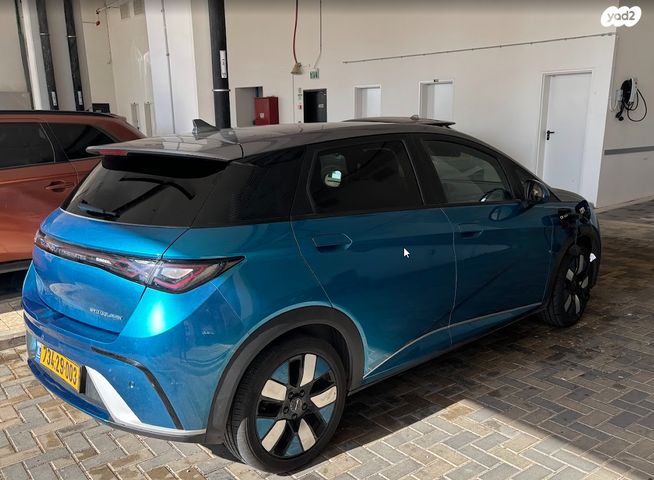 בי.ווי.די דולפין