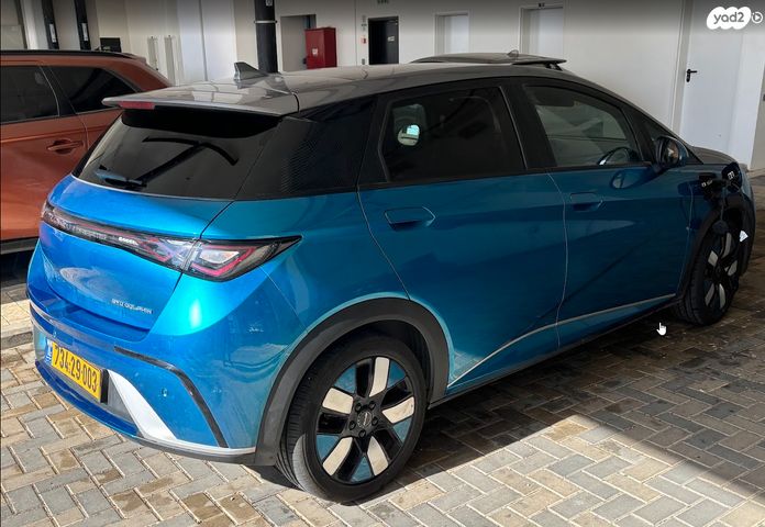 בי.ווי.די דולפין