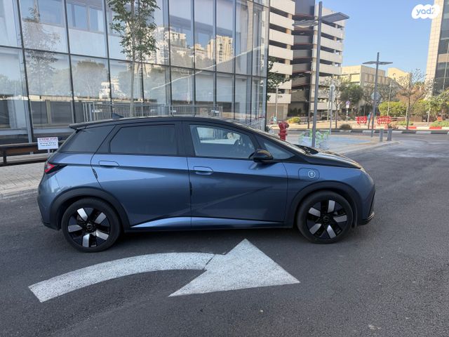 בי.ווי.די דולפין