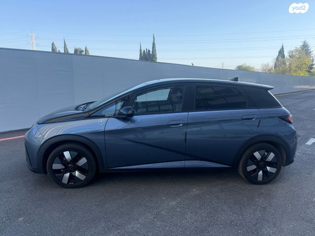 בי.ווי.די דולפין