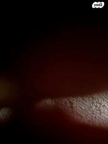 בומברדיר/קאן אם