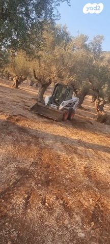 מודעת רכב כללי