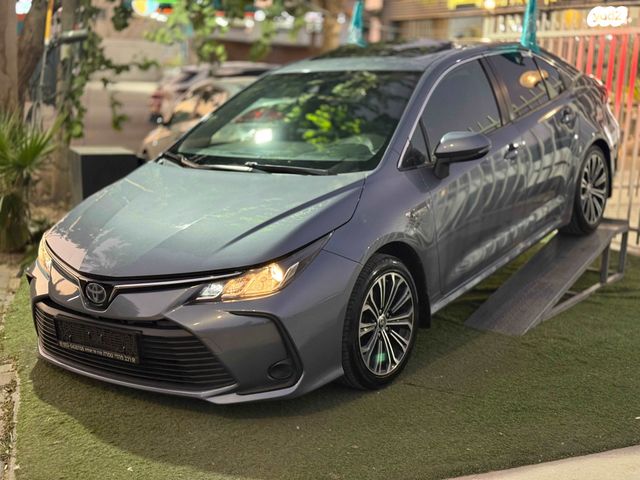 טויוטה קורולה