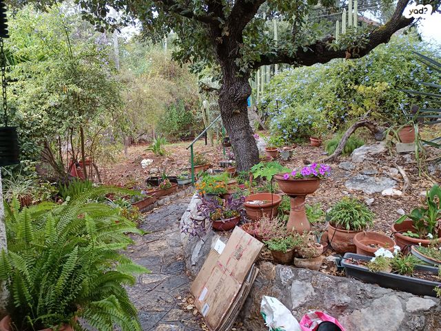 בית פרטי/ קוטג', האלונים 18, טבעון הוותיקה, קרית טבעון